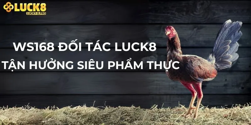 Đối tác hàng đầu của đá gà Luck8