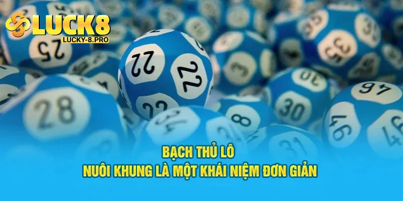 Ưu điểm của phương pháp bạch thủ lô khi soi cầu trực tuyến tại Luck8